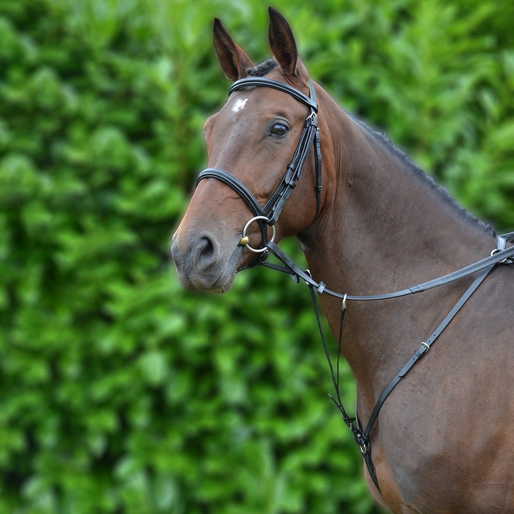 Hy Equestrian Hunting Breastplate image 2